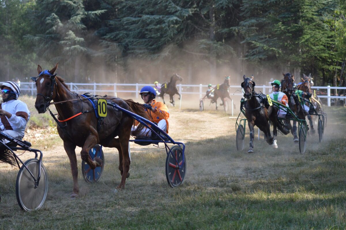 kw cv conversion chevaux fiscaux vs